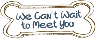 We Can't Wait to Meet You!