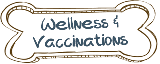 Wellness & Vaccinations